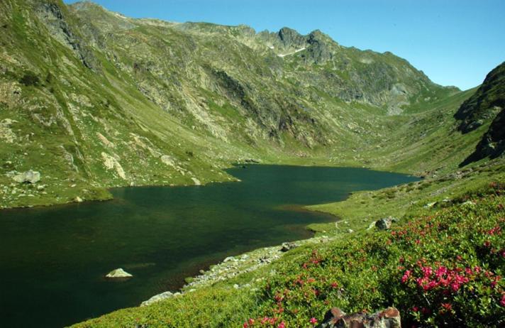 Apartaments Sort Pirineus Екстериор снимка